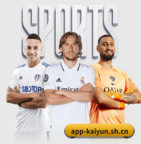 开云 APP 界面 - kaiyun