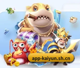 开云围绕看球场景设计的核心服务（kaiyun）
